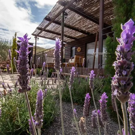 Holiday home Jardin Del Norte Galdar