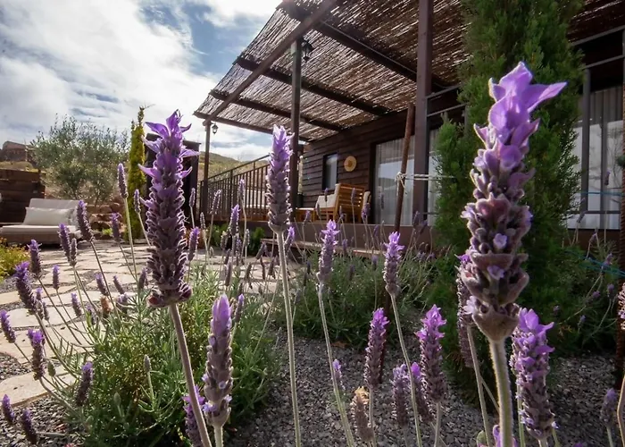 Semesterbostad Jardin Del Norte Gáldar